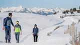 Foto per Escursione invernale guidata - Alpe di Rodengo